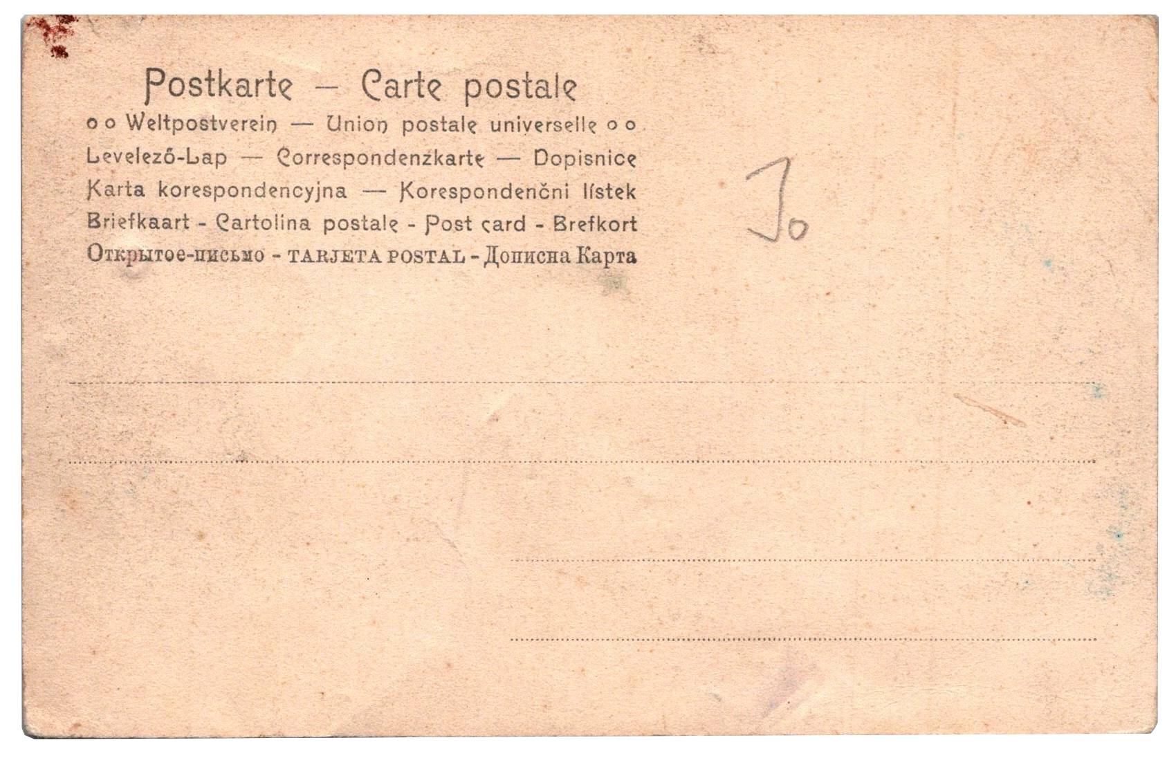 V lese