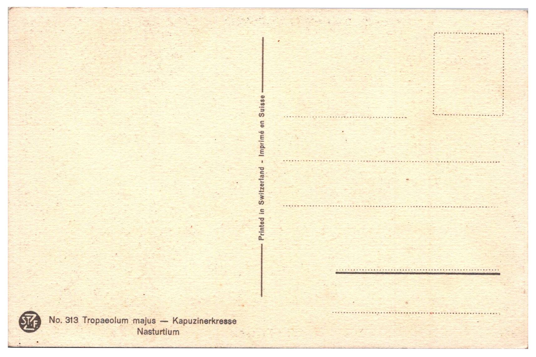 Kapucínka