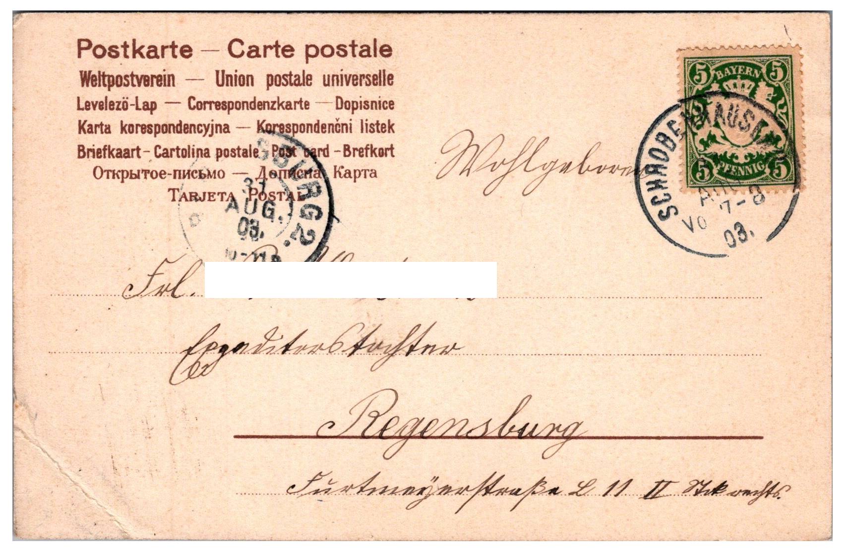 Žena II.