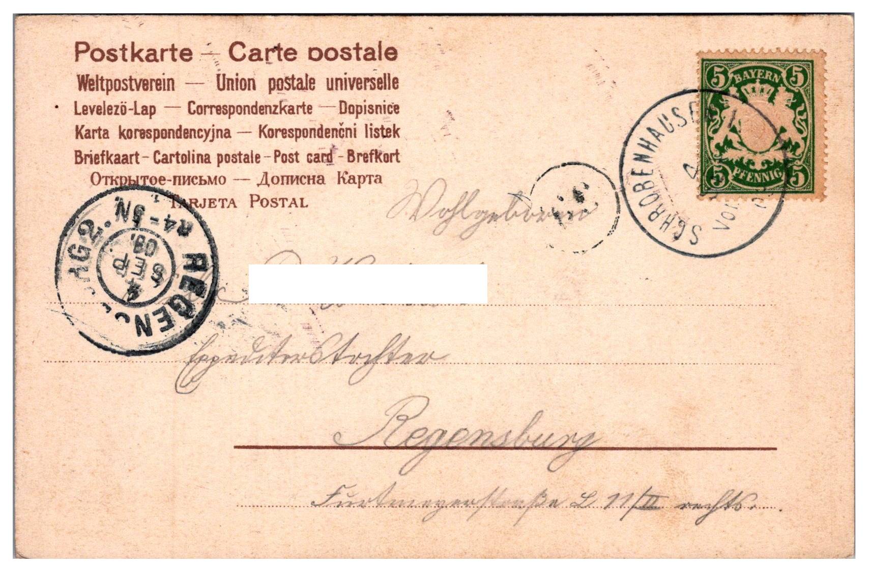 Žena III.