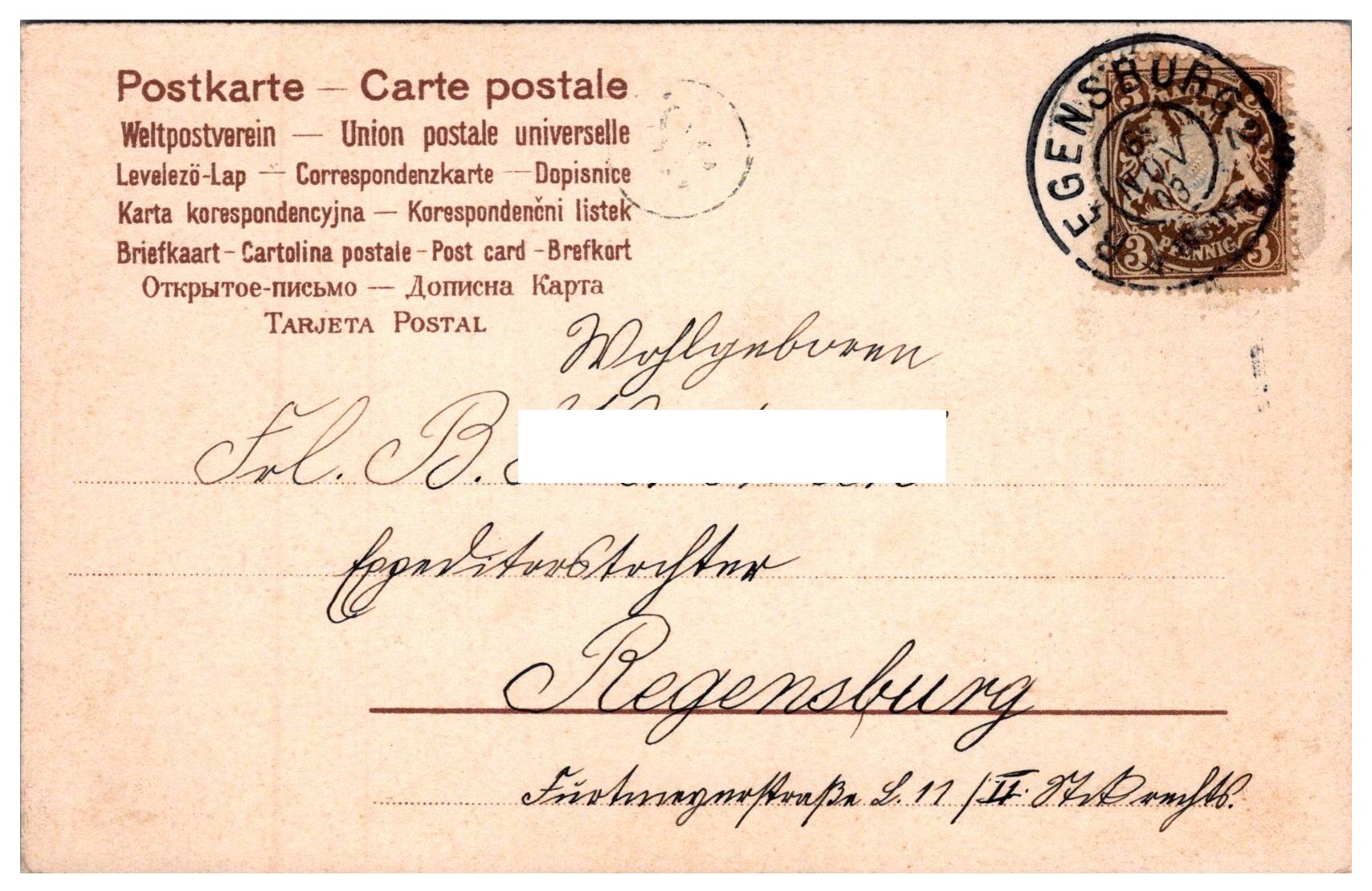 Žena IV.