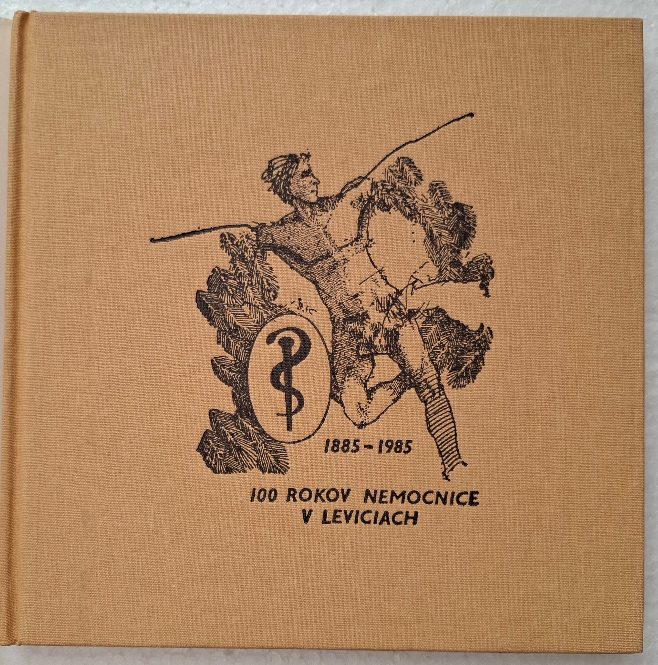 Dejiny levickej nemocnice 1885-1985