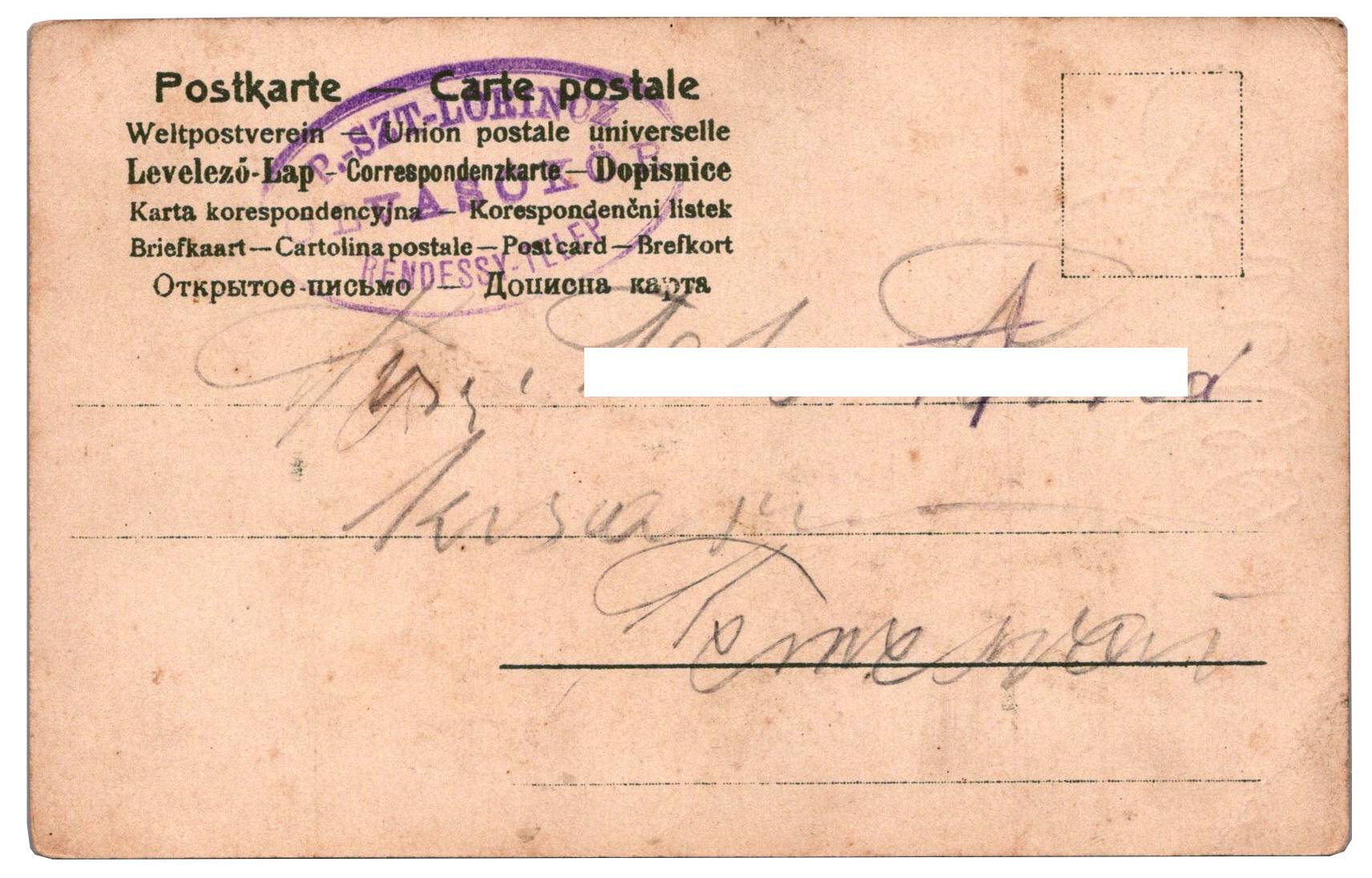 Sedmokrásky a nezábudky