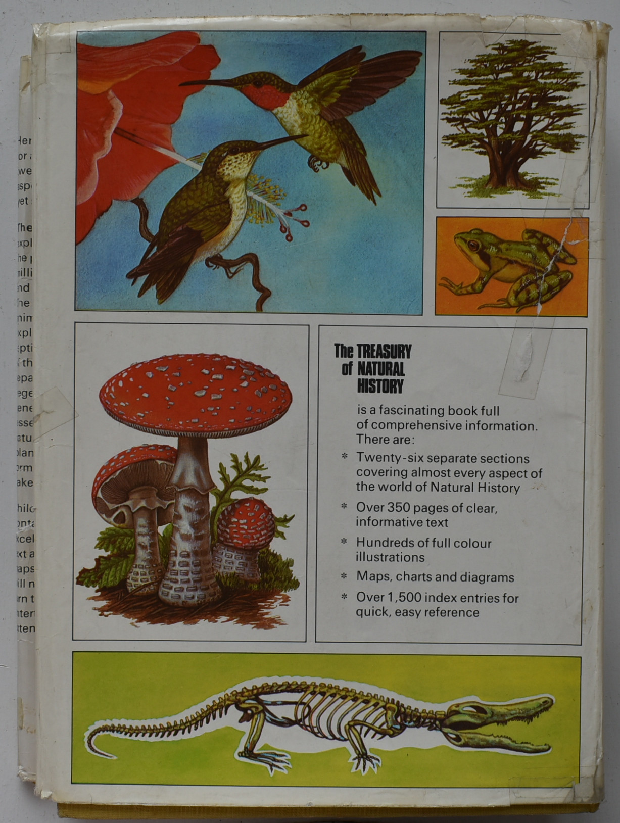 The Treasury of Natural History