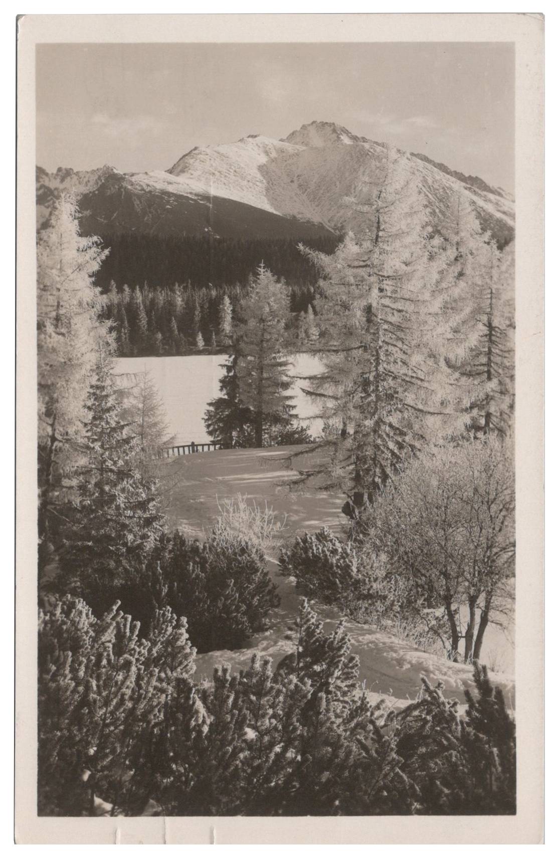 Štrbské pleso, Vysoká
