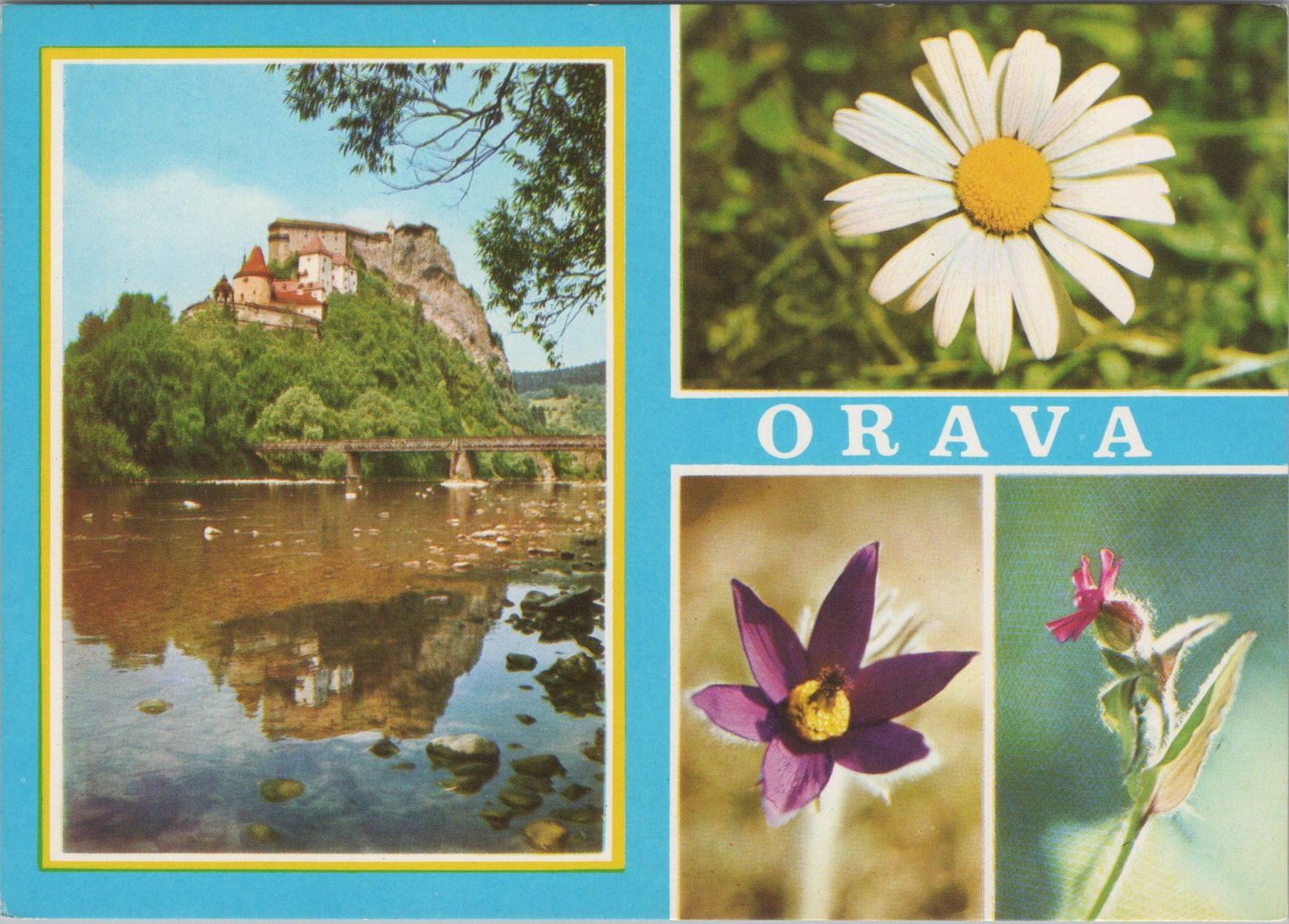 Orava