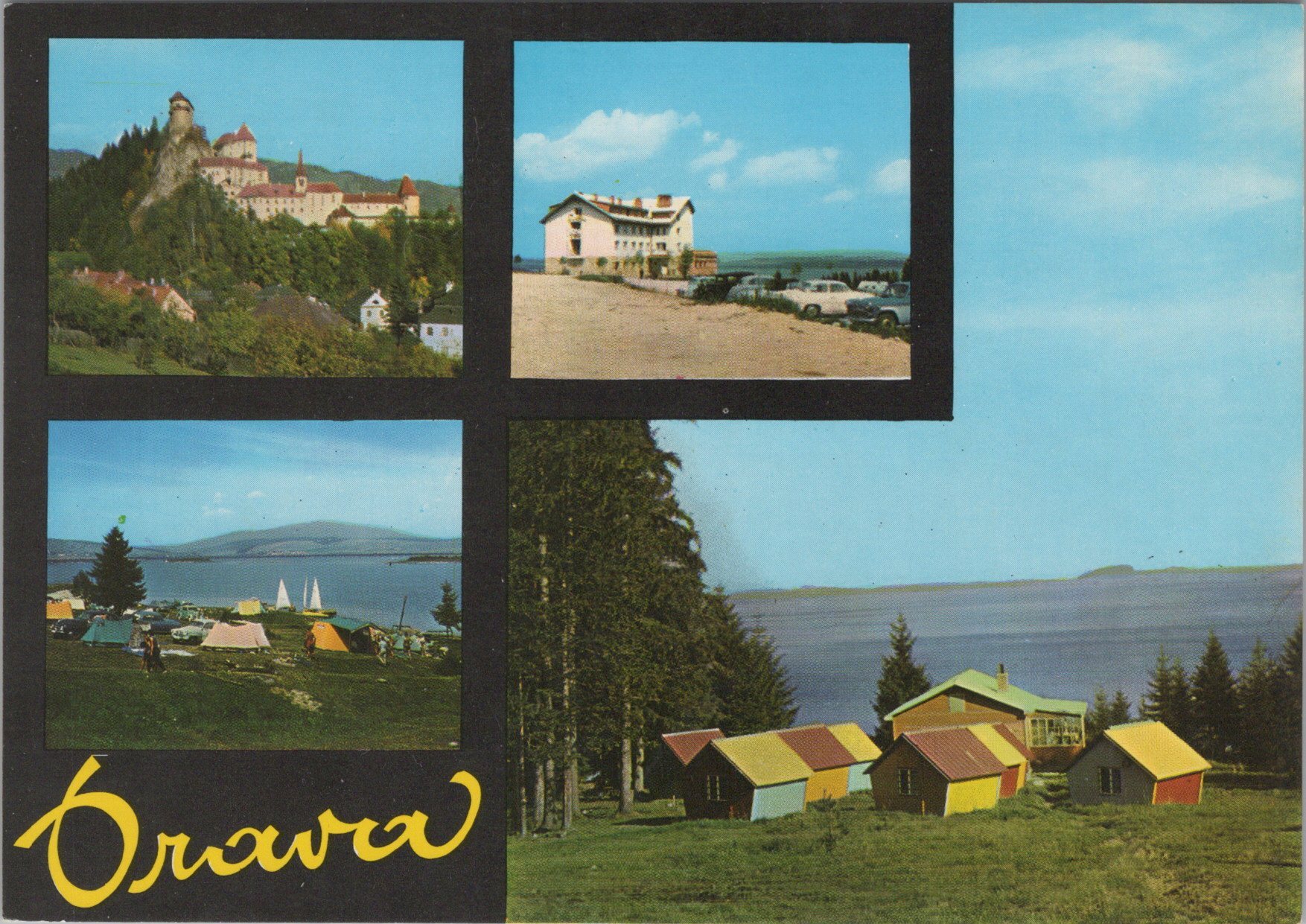 Orava