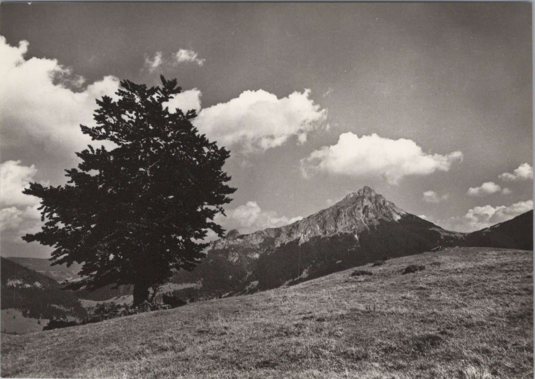 Malá Fatra - Veľký Rozsutec