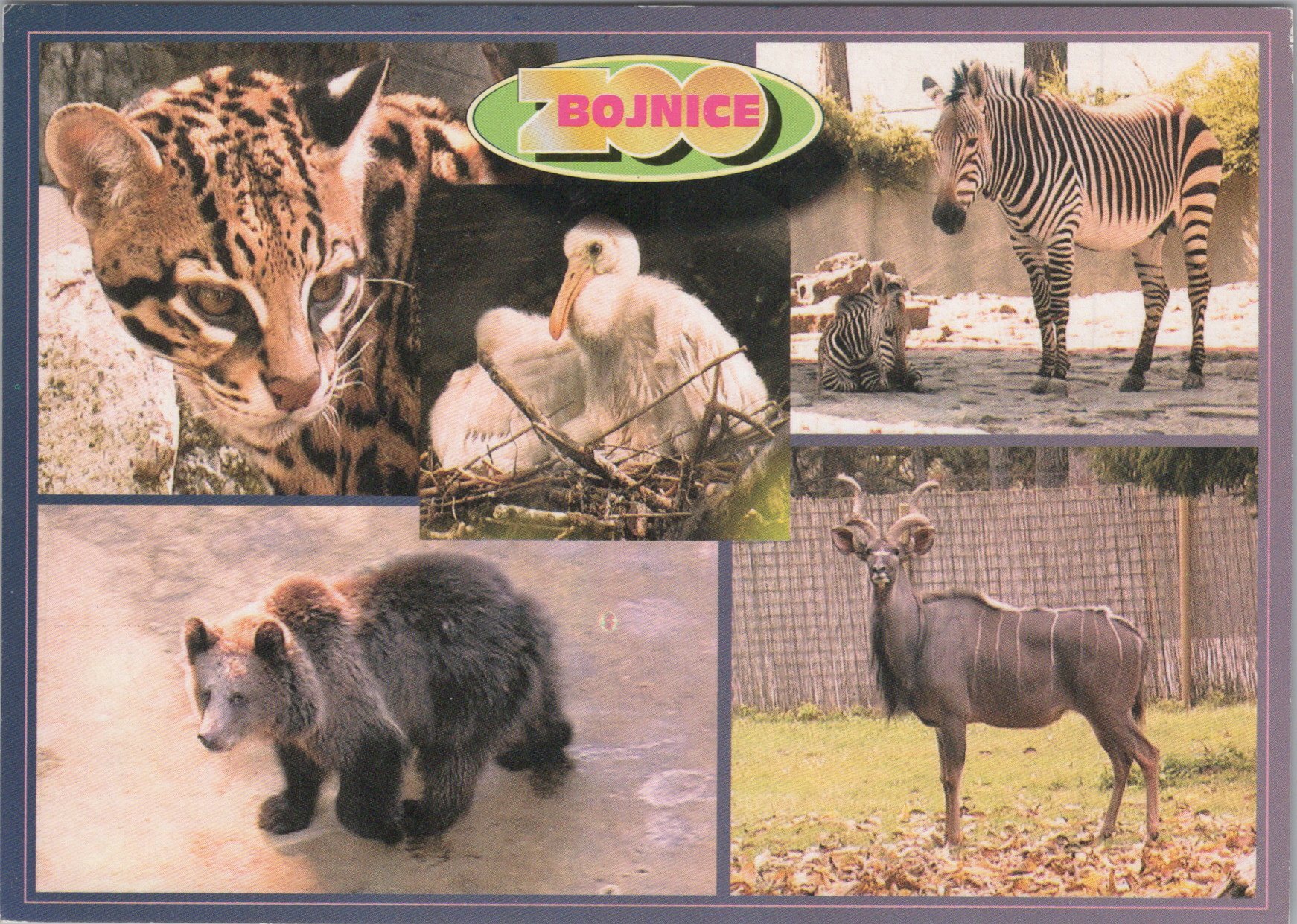 Bojnice - ZOO