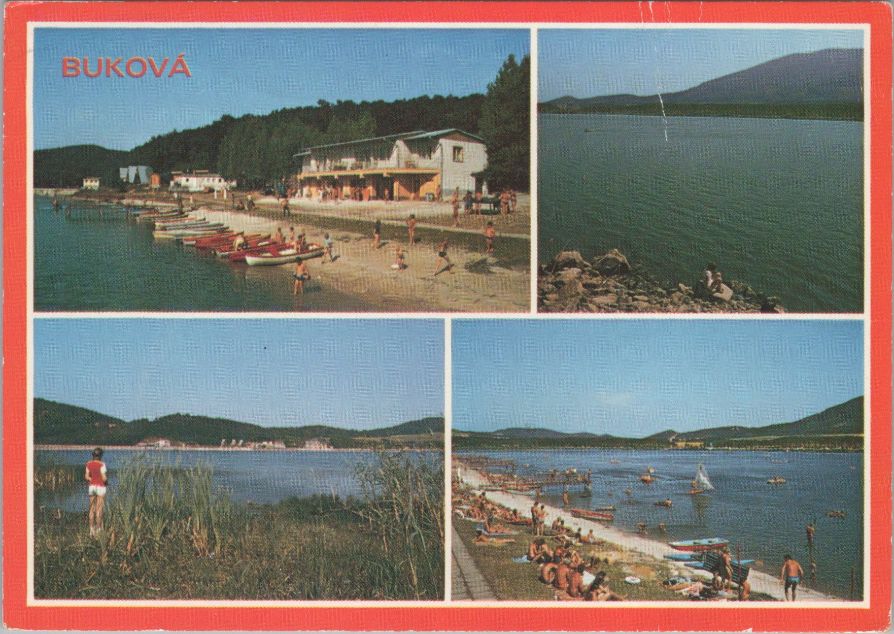 Buková