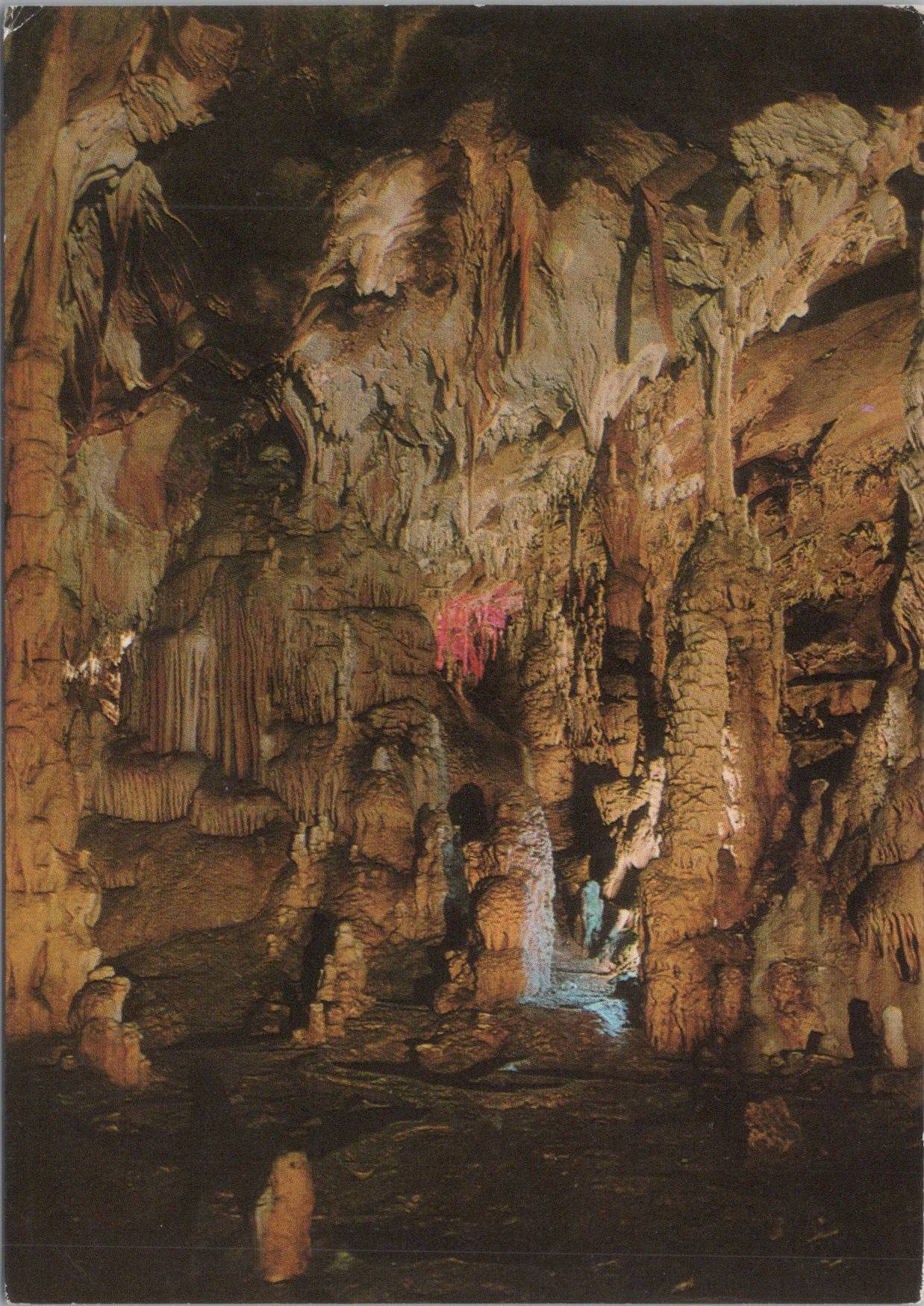 Domica