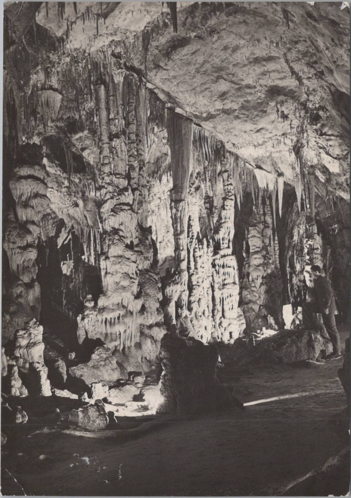 Domica