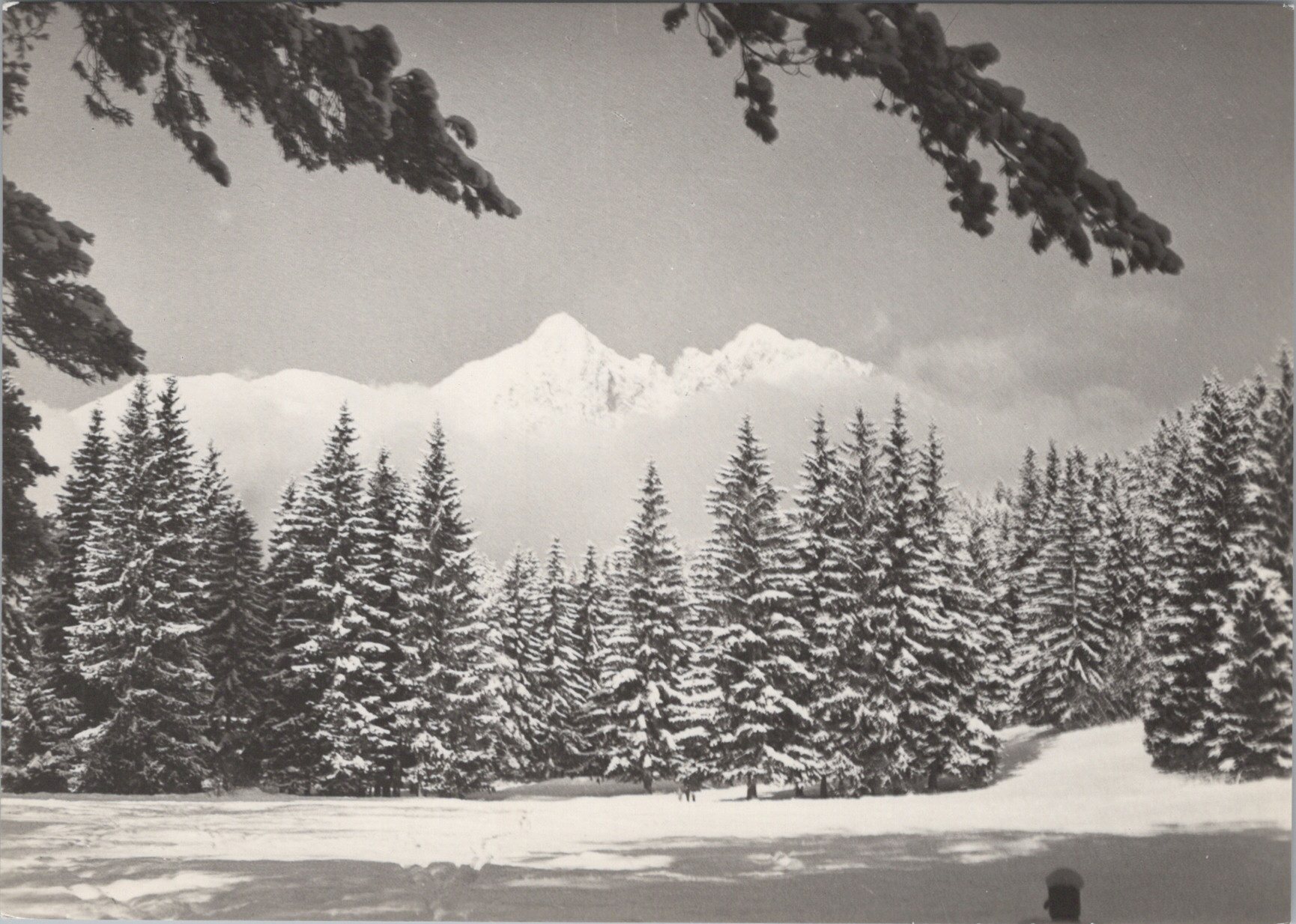Vysoké Tatry 