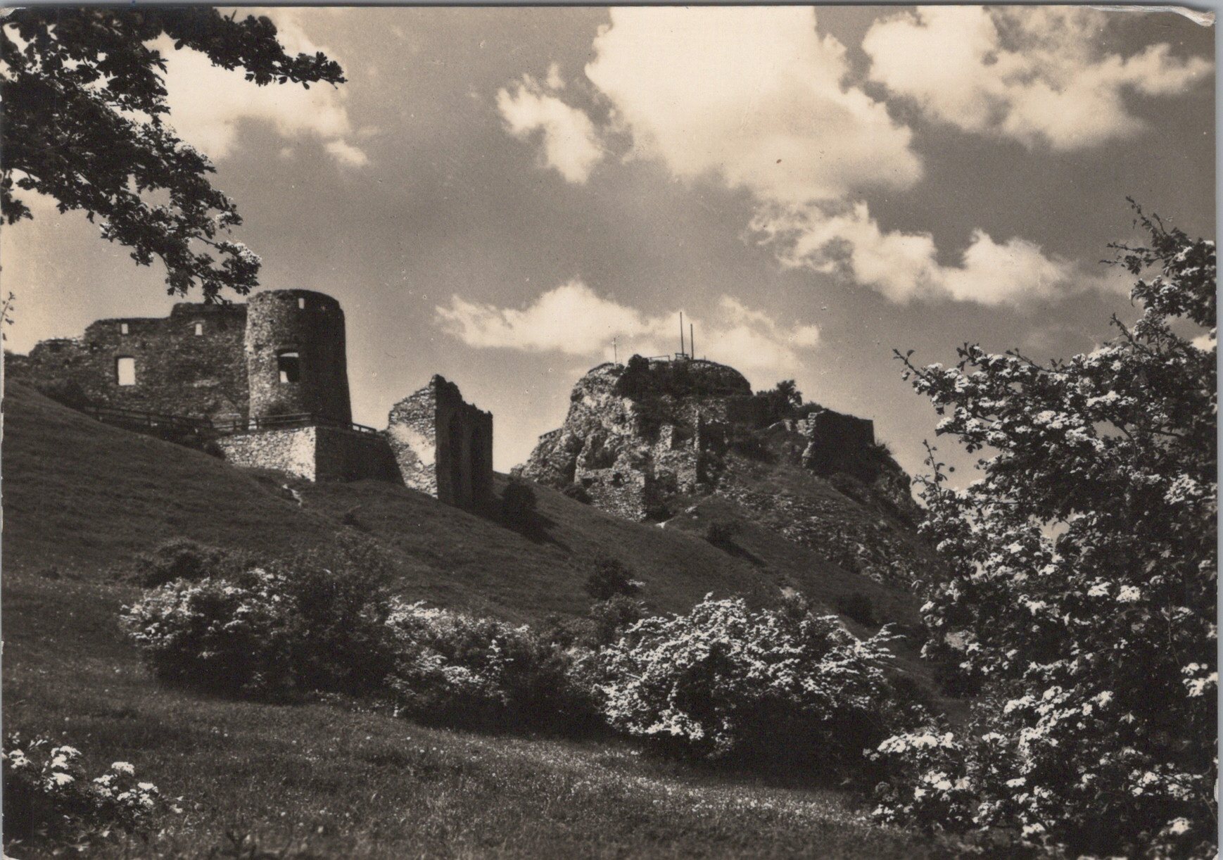 Devín hrad