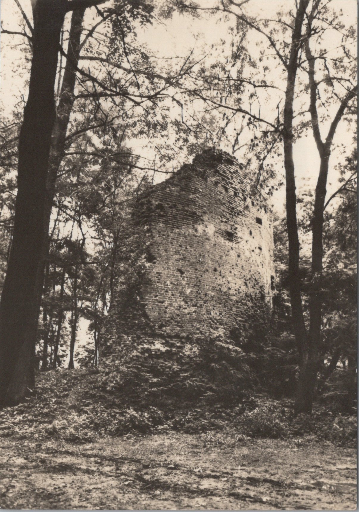 Trebišov - Parič