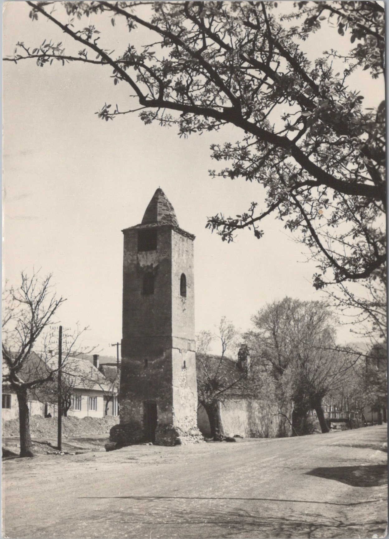 Rohožník