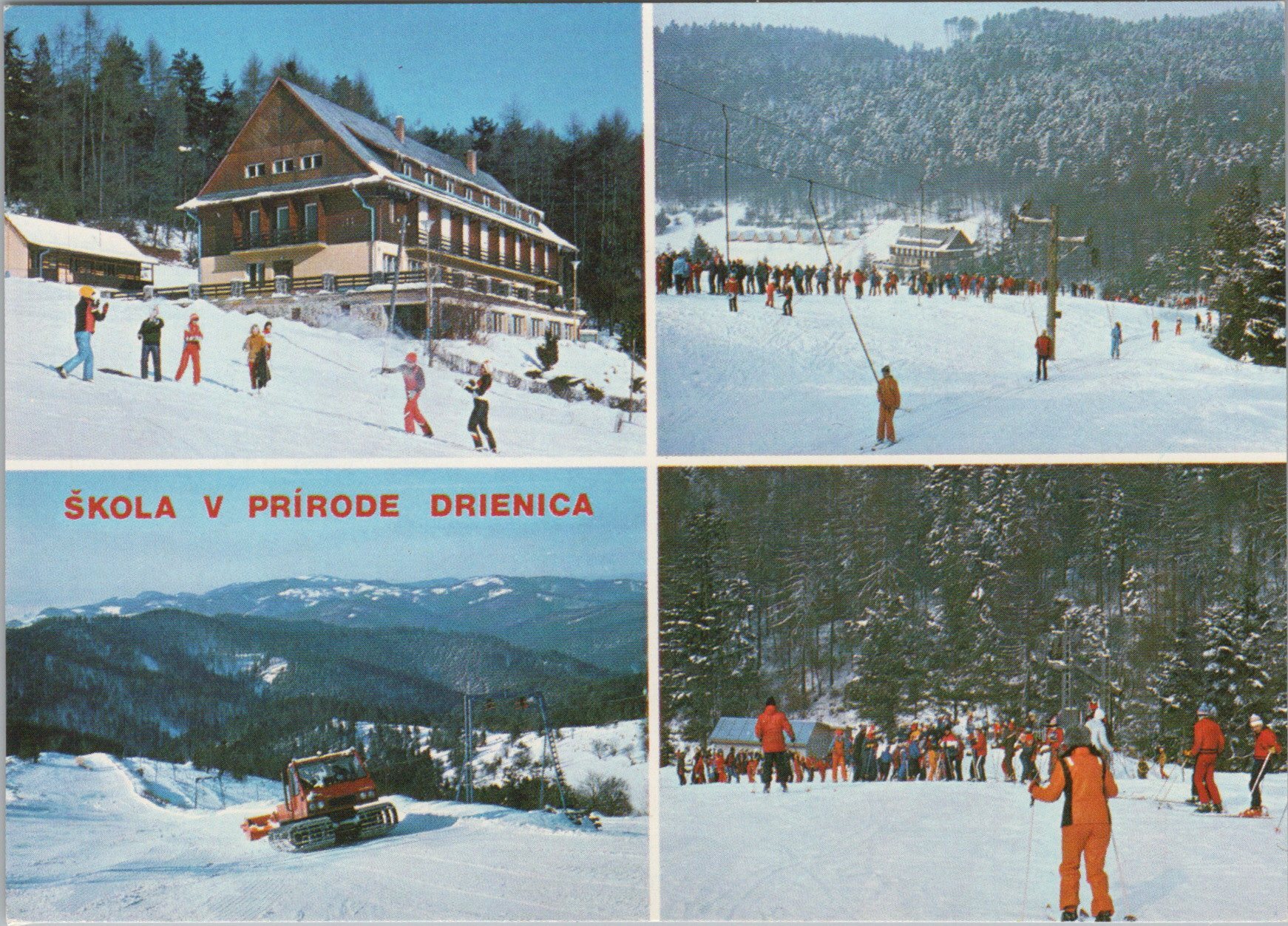 Drienica