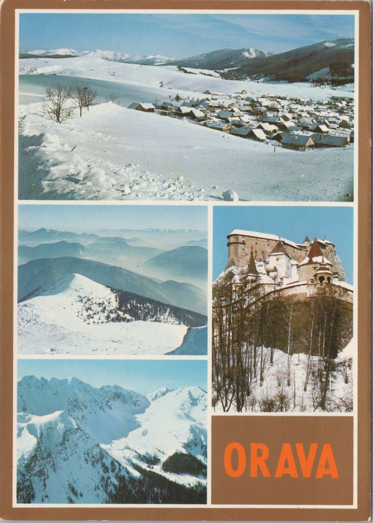 Orava v zime