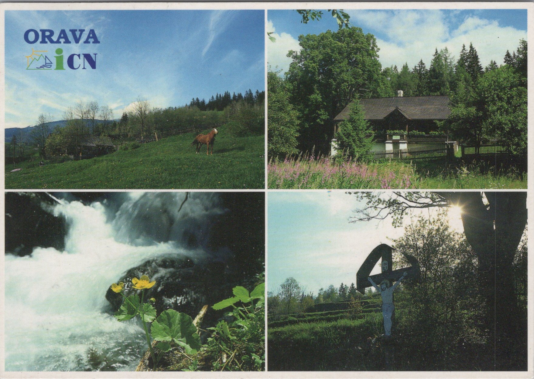Orava