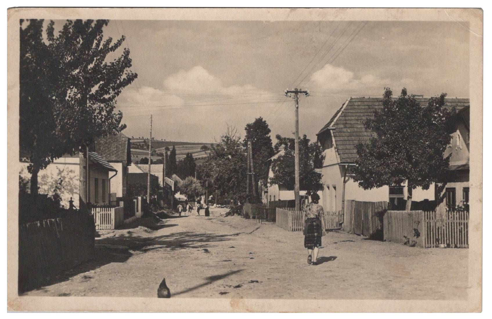Drietoma